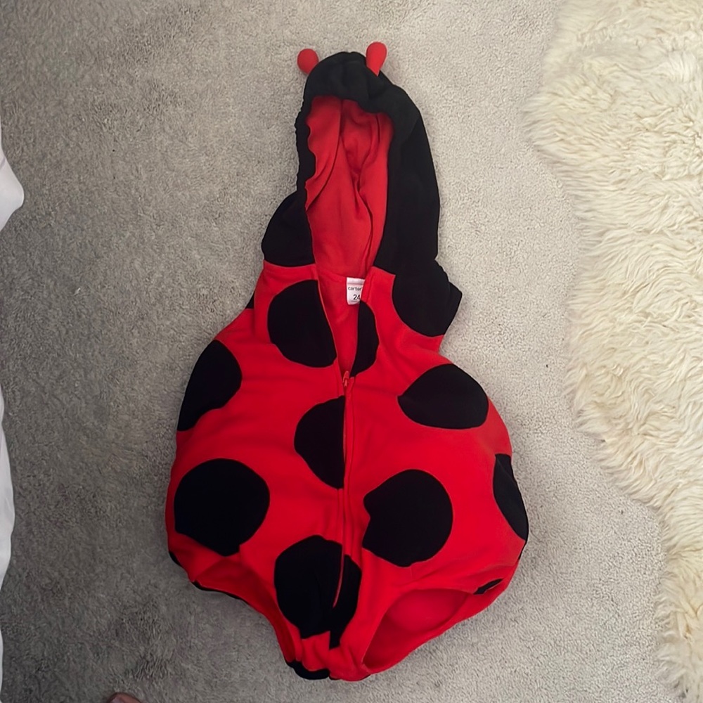 Ladybug Costume